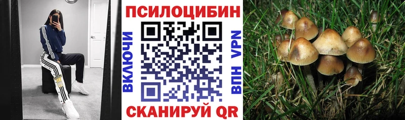 Псилоцибиновые грибы MAGIC MUSHROOMS  Купить закладки  Георгиевск 